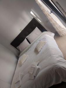 Cactus luxury apartment Oreoi