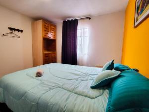 Mico Loco Casa Hostal