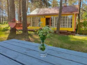 Katase Suvemaja - Kuremäe