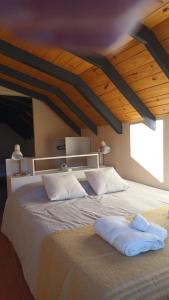 Box 8 - Puerto Nevado