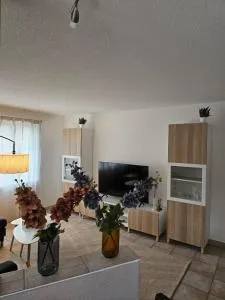 Tegerfelden Weinregion - Bad Zurzach