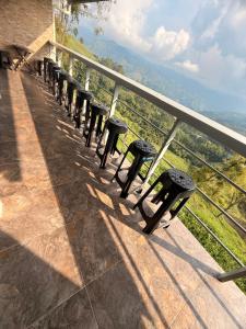 Finca Hotel Los Felipes - Neira