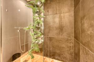 Le Cocon Cavet T3 cœur village Marché & Port