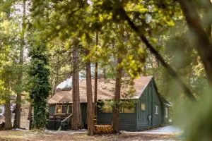 BunkHouse 1960's Camp Vibe with Timeless Wet Bar - Lone Pine