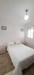 Fully furnished apartment