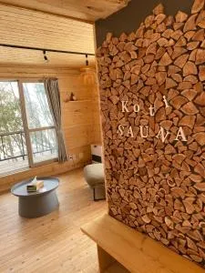 Koti Private SAUNA Cottage - Shimokawa