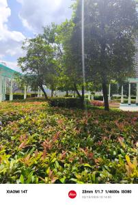 Condo unit open for staycation