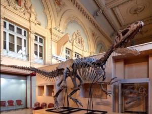 Appartements Charmant 2 pieces a 2 pas de la plage avec loggia - tout confort - FR-1-712-9 : photos des chambres