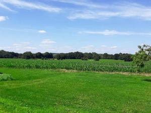 Charmante Maison en Pierre avec Jardin Près de Chinon - FR-1-381-608