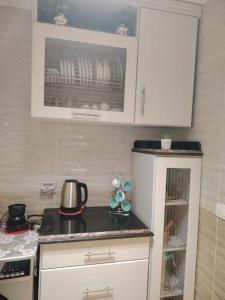 Cozy Furnished apartment in new Cairo