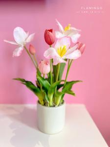 Flamingo Hải Tiến - Thanh Hóa chính chủ