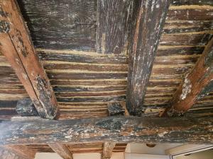 La Suite del ponte Paradosso