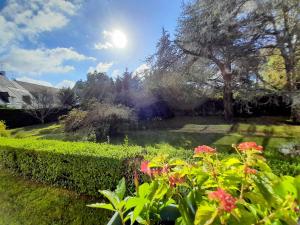 Grand appartement 4 pièces à La Trinité-sur-Mer avec vue port - FR-1-477-255