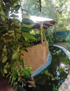 Leopard Home Stay