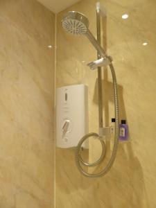 Bedroom bathroom kitchenette own entrance Conwy