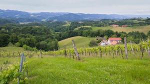 Private Unterkunft Weingut - Gästezimmer Resch Ludwig vlg. Powoden Leutschach an der Weinstraße Österreich