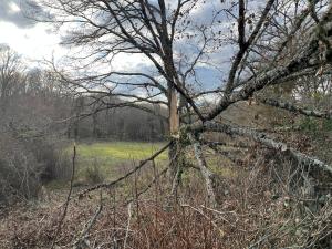 B&B / Chambres d'hotes Le Domaine : photos des chambres