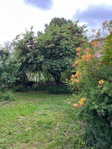 Chalets Charmante petite maison avec terrasse et jardin, proche tram : photos des chambres