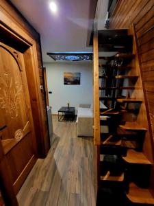Apartamenty Gubalowski Las