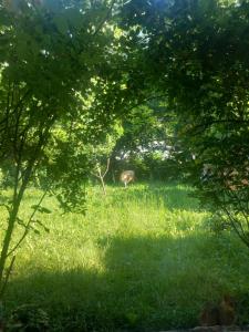 Bistro VILLAGE HOUSE