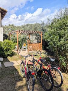 Villa Uliveto rooms with Kitchen & Garden