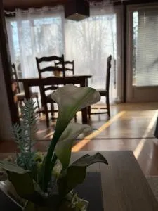 Le Petit Nid de Nargis - Nargis