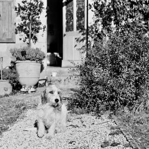 B&B / Chambres d'hotes Le Domaine : photos des chambres