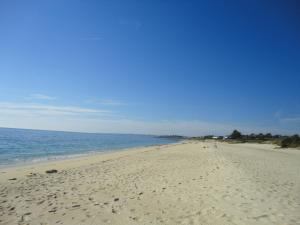 Maisons de vacances 731-Maison Bretonne a proximte des plages et des s : photos des chambres