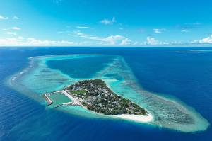 Black Pearl Himandhoo
