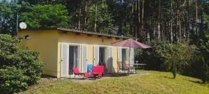 Urlaub am Seddiner See - بيليتس