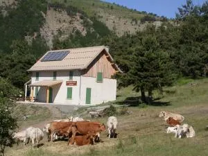 Chalet d'alpage du Cubertin - Préalpes de Digne - Bayons