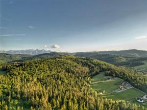 LK Forest Villa luksusowe domy z basenem z jacuzzi, sauną, grotą solną, salą bilardową i ogrodem