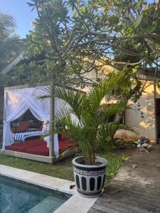 Beautiful Rustic 3bd Villa in Bingin