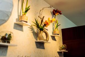 Canvas & petals Blossoming Art penthouse Gym Swim Park 5716