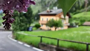 B&B B&Beautyfol Dolomites adults only - Predazzo