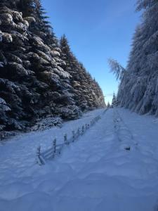 Gorgeous boutique off-grid cottage near Peebles