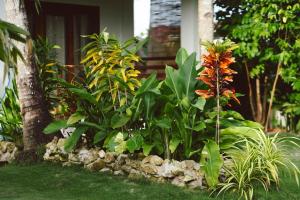 New cozy villa wide garden,starLink wiFi GenSet