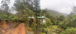 Agarapathana Estate Holiday Bungalow