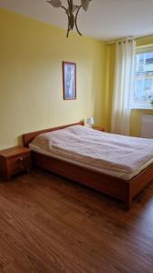 Słoneczny apartament Na Wydmie z windą