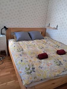 Homely and comfortable accommodation near the city center!