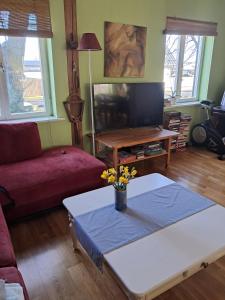 Homely and comfortable accommodation near the city center!