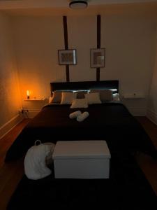 Appartements Charmant Appartement au centre-ville : photos des chambres