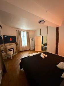 Appartements Charmant Appartement au centre-ville : photos des chambres