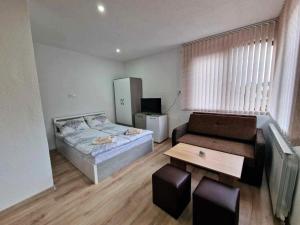 Апартаменти село Баня