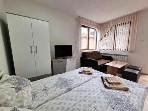 Апартаменти село Баня