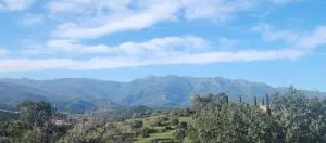 E casette - Poggio-dʼOletta