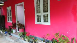Royal villa Homestay