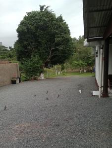 Cantinho aconchegante