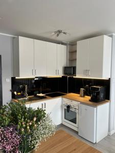 Apartament City Rent Płock 2