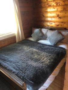 Misty Mountain Log Cabin - Trawsfynydd